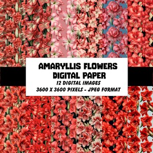 Amaryllis Flowers Digital Paper – Seamless for Scrapbook, Junk Journal, Cards (Digital Download)
