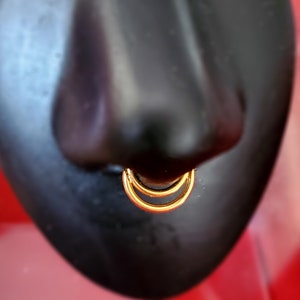 Implant Grade Titanium 16g Hinge Triple Double Hoop Segment Rings Cartilage Hoop Seamless Hinged Clicker Nose Piercing