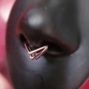 May include: A silver double triangle nose ring piercing.