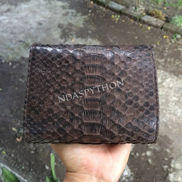 Real Snake Skin - Etsy