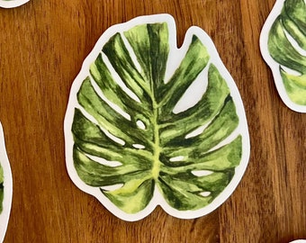 Klare Monstera Blatt Aufkleber | Wasserfester Vinyl-Aufkleber | Wasserflasche Pflanze Aufkleber | Geschenk für Sie