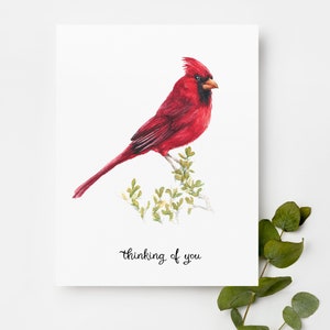 Cardinal pensant à vous | Carte de voeux pour les amateurs d'oiseaux | Aquarelle peinte à la main Oiseau rouge