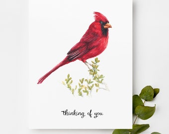 Cardinal Thinking of You Card | Greeting Card for Bird Lovers | Red Bird Hand Painted Watercolor