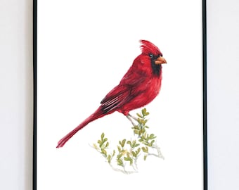 Impresión artística de cardenal / Póster de acuarela de pájaro rojo