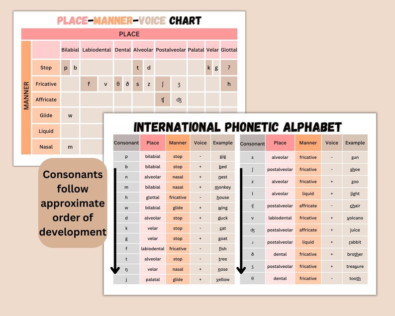 IPA Consonant & Vowel Charts | Speech Therapy Resources (PDF) - Etsy
