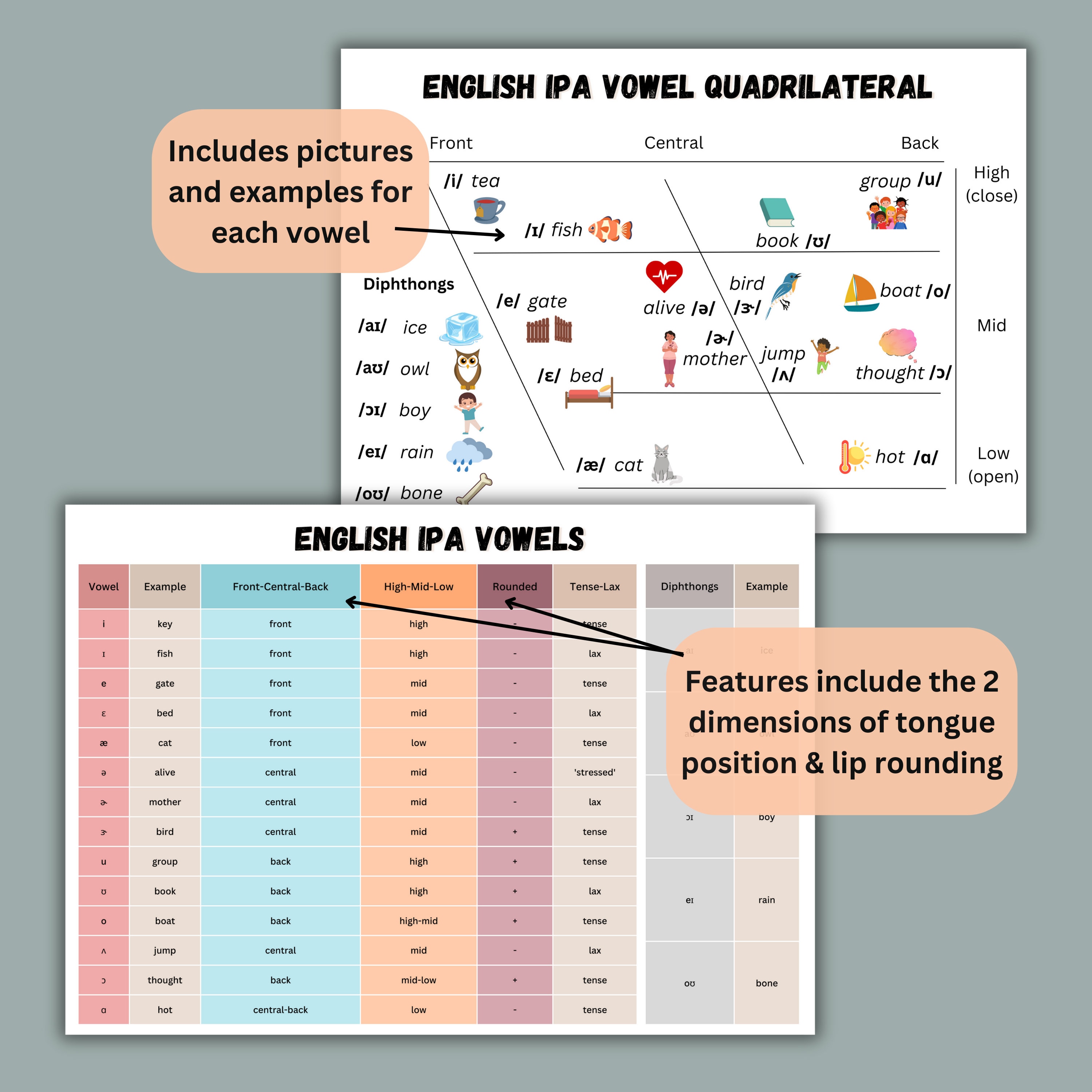 Ipa vowel quadrilateral american english vowels speech language