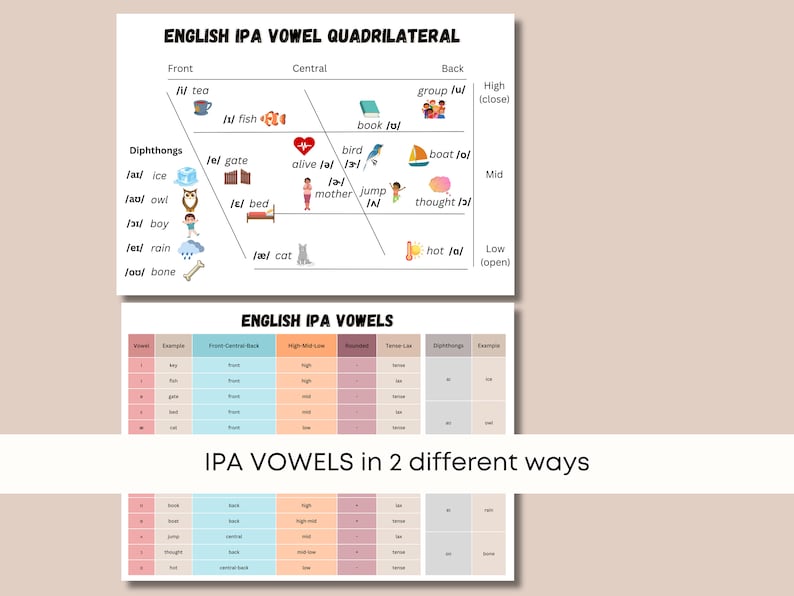 May include: A chart showing the English International Phonetic Alphabet (IPA) vowel quadrilateral. The chart is divided into four quadrants: front, central, back, and high, mid, low. Each quadrant contains a vowel sound with an example word and image. The chart also includes a table showing the IPA vowels in two different ways.