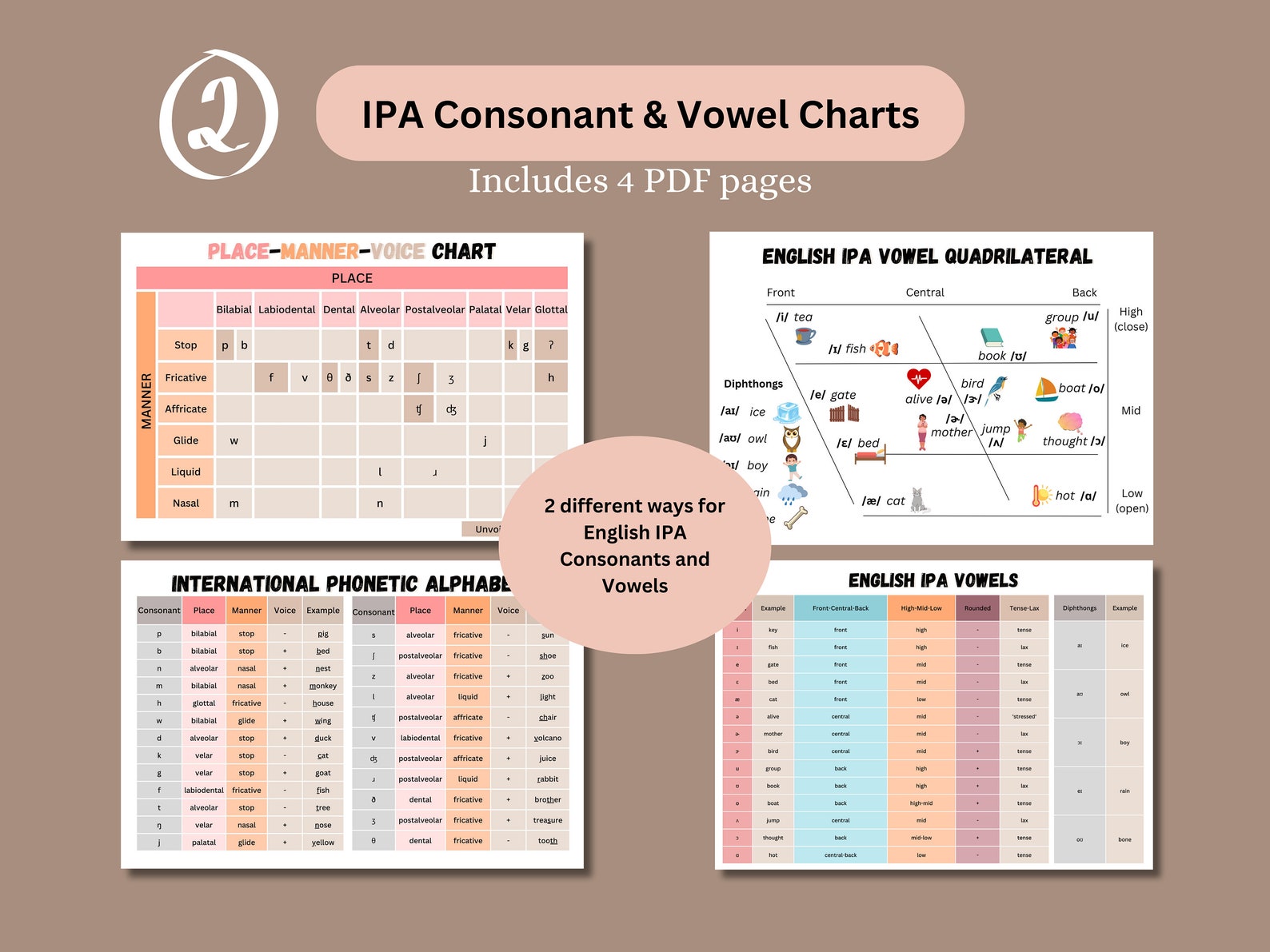 Speech Therapy Starter Bundle | Phonological Patterns, IPA Charts (PDF ...