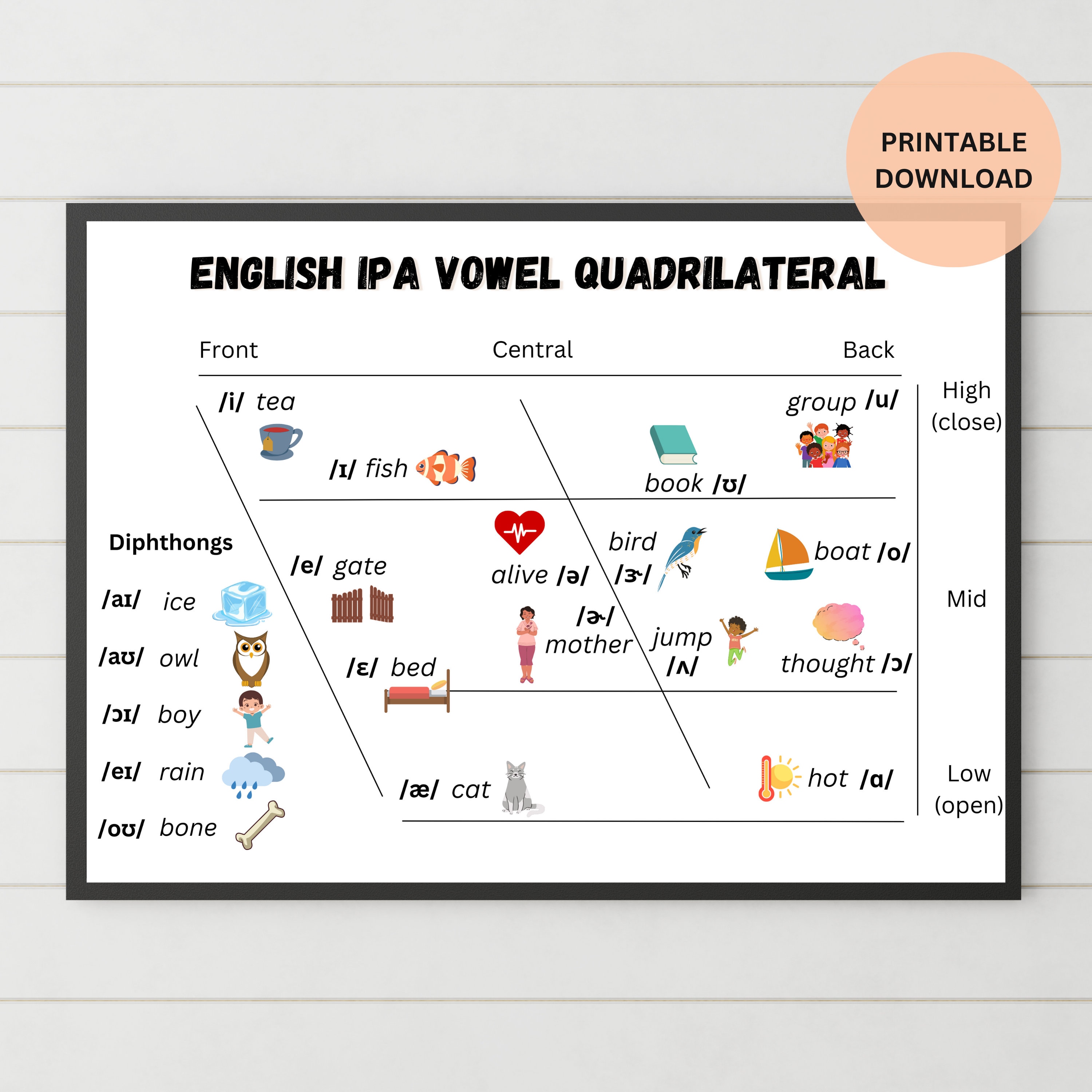 Ipa vowel quadrilateral american english vowels speech language