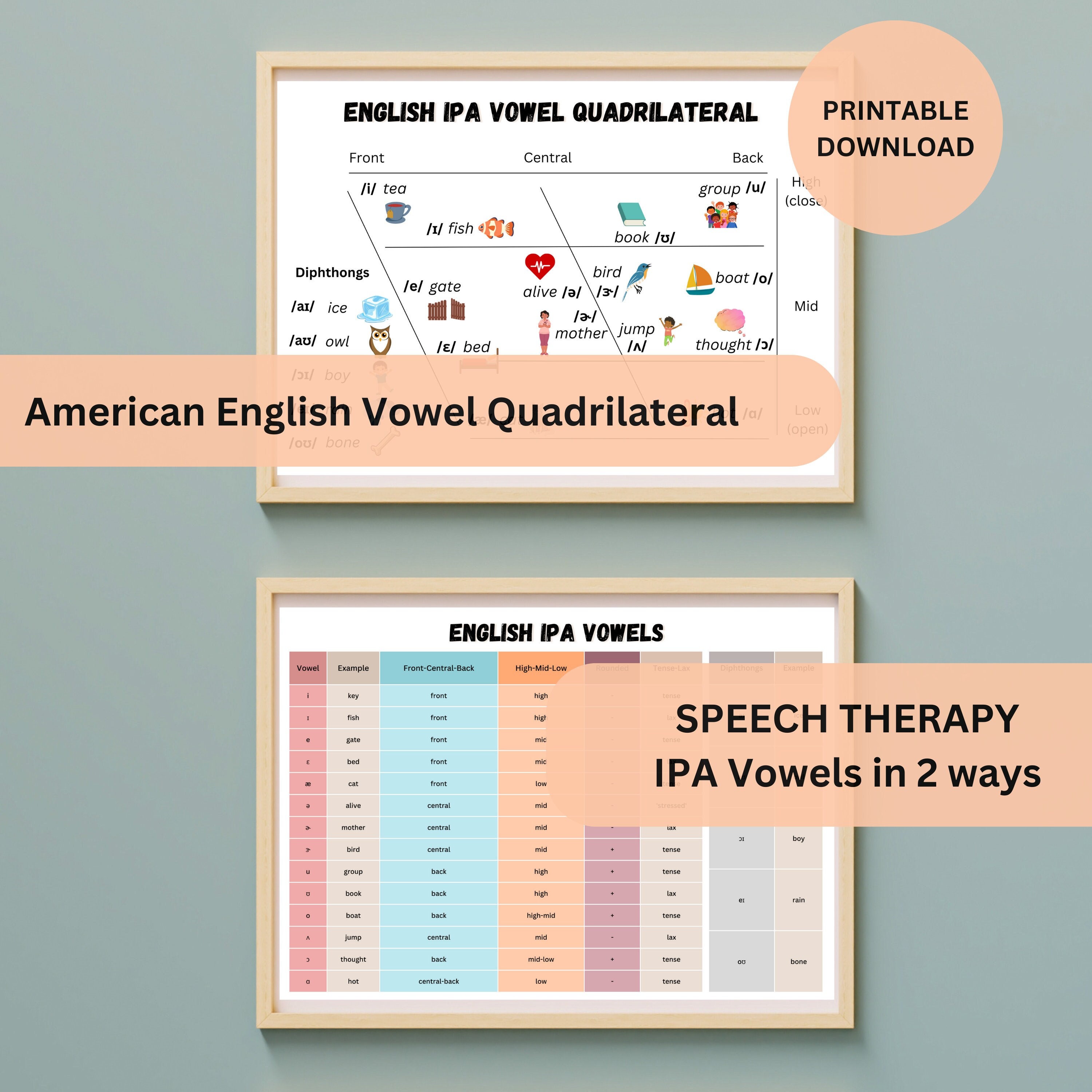 Ipa vowel quadrilateral american english vowels speech language