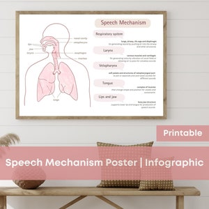Speech Mechanism Poster & Infographic | The Speech System | Anatomy of Speech Mechanism for Speech Therapist | Respiration and Articulation