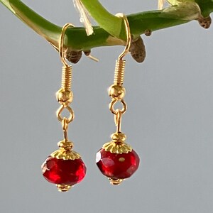 May include: A pair of gold-coloured drop earrings. Each earring features a faceted, deep red bead suspended from a gold-coloured hook. The beads have a decorative gold-coloured cap. The earrings are hanging from a green stem.