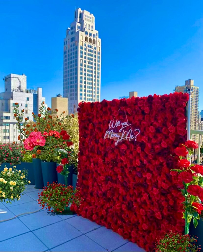 Red Rose Wall Rental Orlando Party Rentals Backdrop Rose Etsy