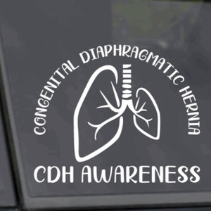 May include: White vinyl sticker with a white outline of a lung and the text "Congenital Diaphragmatic Hernia CDH Awareness".