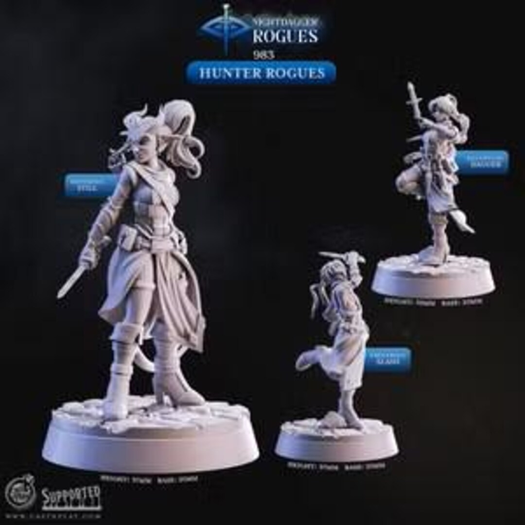 Cnp Rogue Hunter Rogue | Dungeons and Dragons Characters | Tabletop Minis | CNP ...
