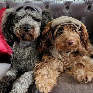 Herringbone Tweed Pet Cap: Vintage Style Dog Cat Puppy Hat - Hendricks and Maple