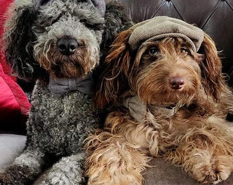 Herringbone Tweed Pet Cap: Vintage Style Dog Cat Puppy Hat - Hendricks and Maple