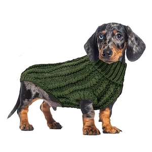 May include: A dachshund dog wearing a green cable-knit sweater. The dog has a speckled coat of black, gray, and brown, with blue eyes. The sweater covers the dog's body, with a turtleneck design.