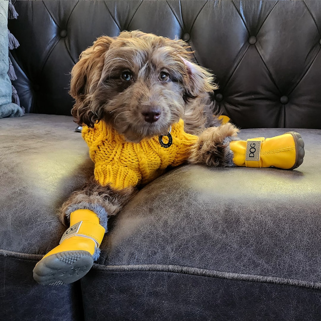 Winter Boots Diy Dog Shoes Balloon Anti Slip My Busy Dog Boots