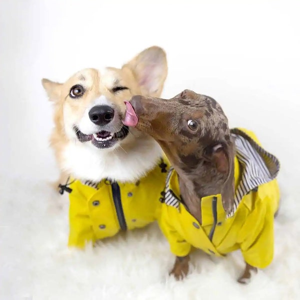 Hendricks and Maple Dog Raincoat | Winter Dog Jacket | Dog Coat | Dog Water Repellent Jacket