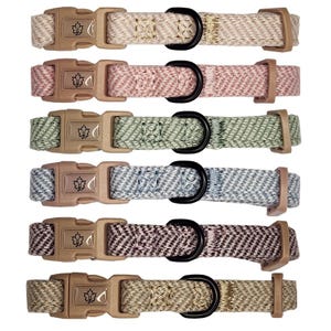 Può includere: Una collezione di sei collari per animali domestici in vari colori, tra cui beige, rosa, verde, blu, marrone e marrone chiaro. Ogni collare presenta un motivo a spina di pesce intrecciato, un anello a D in metallo nero e una fibbia in plastica con un design a foglia d'acero.