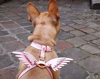 Hendricks and Maple Angel Wing Hundegeschirr - Engelsflügel | Welpengeschirr | Katzengeschirr | Angel Wings Geschirr und Leine Set
