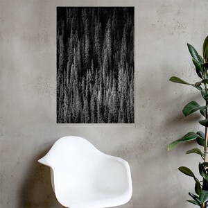 Alaskan Forest Photo Print