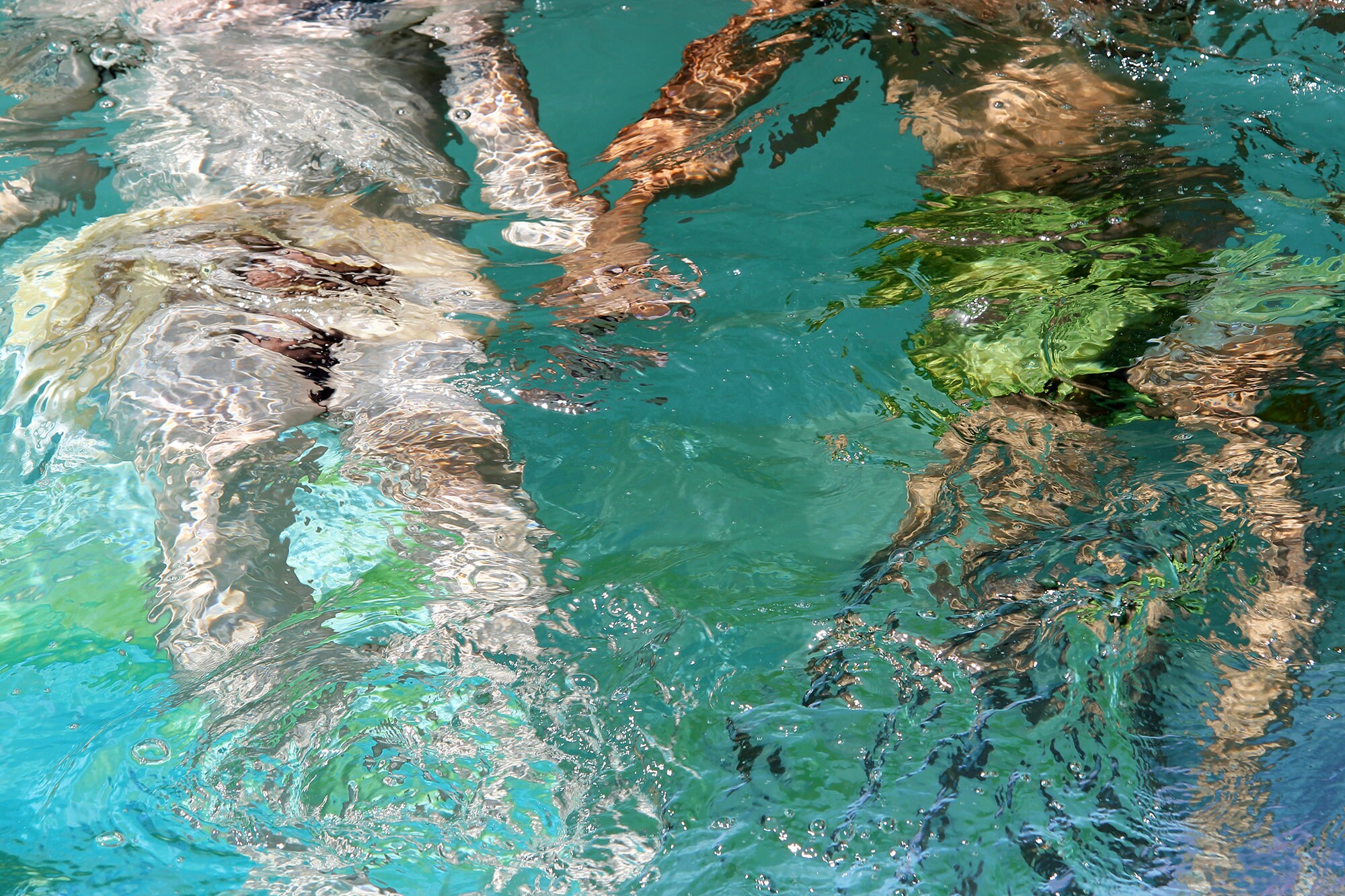 Hand Holding Fine Art Photo Gay Male Nude Terry Hastings - Etsy