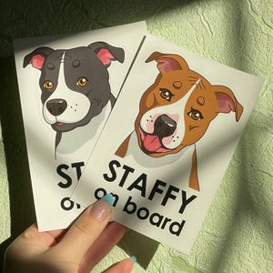 Sticker voiture Staffy/AmStaff à bord, autocollant chien à bord