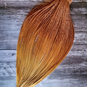 Könnte beinhalten: Ein Bündel langer, geflochtener Haarverlängerungen in einem warmen Ombre-Farbschema. Die Zöpfe gehen von einem hellen, goldblonden Farbton an den Spitzen in ein sattes, mittelbraunes Haar an den Wurzeln über. Das Haar ist ordentlich gebündelt.