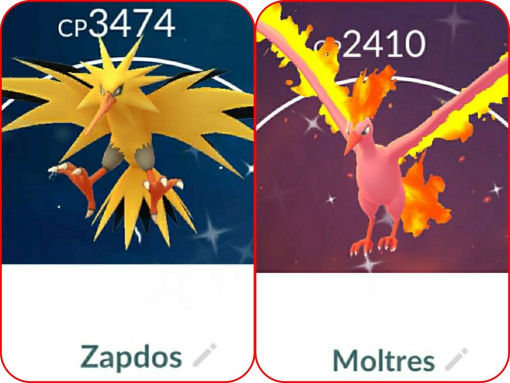 Zapdos or Moltres Kanto Region Legendary Birds for Pokemon Go