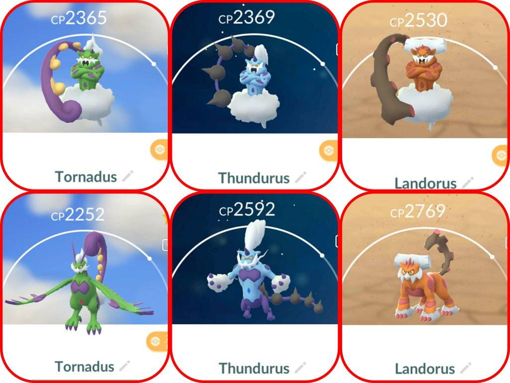 Shiny Enamorus Landorus Thundurus Tornadus // EV Trained // -  Portugal