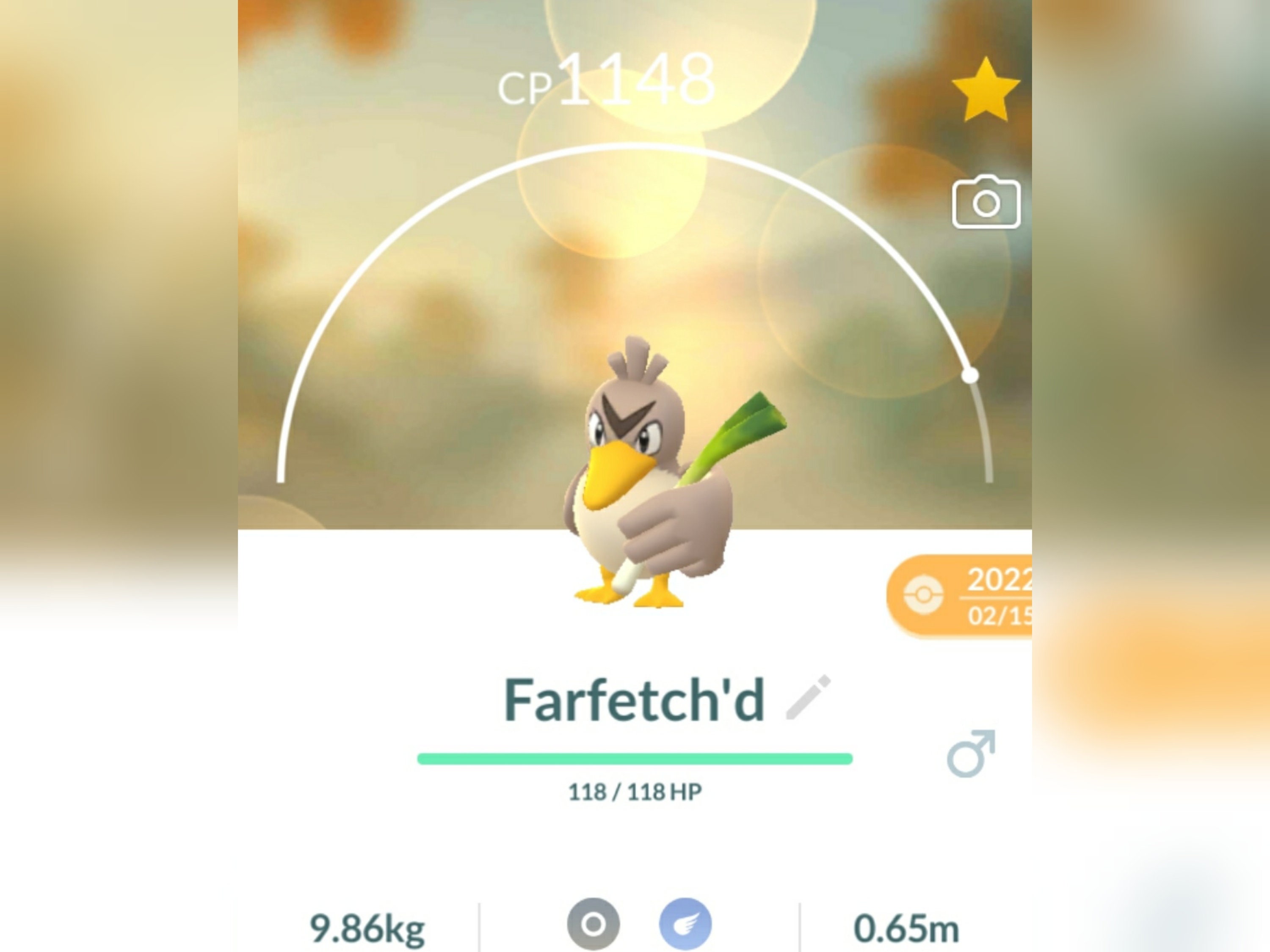 Shiny Farfetch'd/Sirfetch'd (Galarian Form) 6IV - Pokemon Sword/Shield