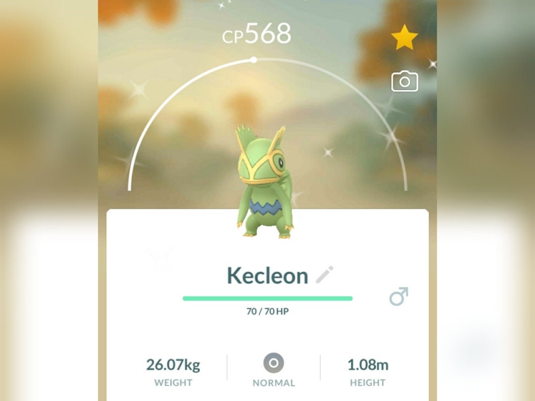 Kecleon Rare Find Shiny Pokemon for Pokemon Go. Registered Etsy