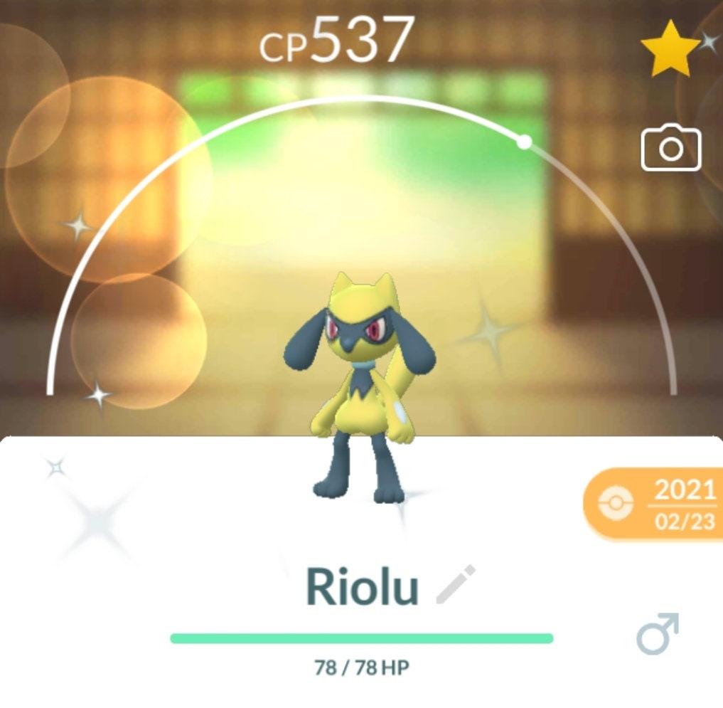 Riolu Rare Shiny Pokemon for Pokemon Go. Registered trade or wait until  become Ultra friend for trade.