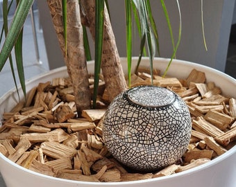 Olla à planter 40cl blanc effet craquelé noir déco plante intérieure arrosage efficace et naturel