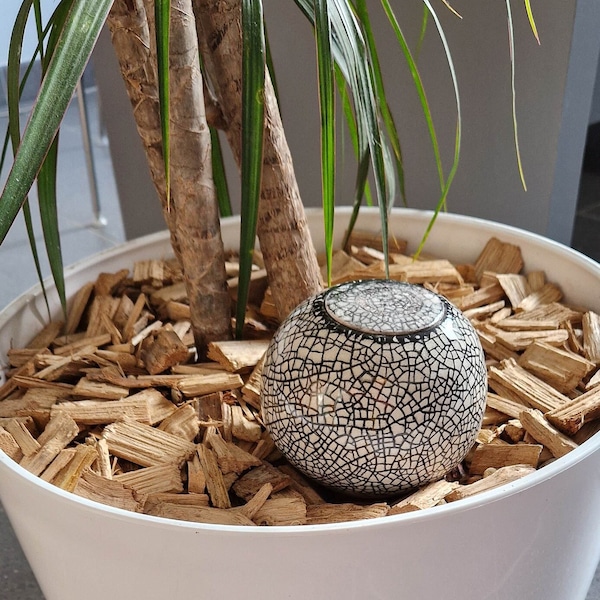 Olla à planter 40cl blanc effet craquelé noir déco plante intérieure arrosage efficace et naturel