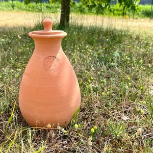 Olla Taille S 1.5L Système d'irrigation Économique Idéal pour Jardinières et Arbustes Poids 1.75 kg Dimensions 13 x 18 cm image 2