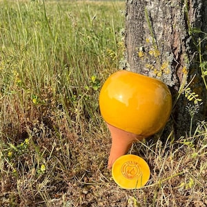 Może przedstawiać: Żółta ceramiczna konewka z okrągłym korpusem i długim wylewką. Konewka stoi na ziemi obok pnia drzewa. Konewka ma etykietę z napisem "Olla Irrigation".