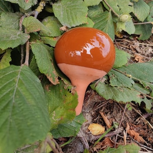 Può includere: Una scultura a forma di fungo in ceramica con un cappello marrone lucido e un gambo color terracotta. Il fungo è posto tra foglie verdi e ramoscelli, creando una scena naturalistica. La superficie liscia della scultura riflette l'ambiente.