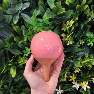 Può includere: Un globo per l'irrigazione delle piante in ceramica rosa con una parte superiore bulbosa e uno stelo color terracotta. Il globo è tenuto in mano su uno sfondo di fogliame verde e piccoli fiori bianchi e gialli.