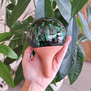 Può includere: Un globo per l'irrigazione delle piante in ceramica verde scuro e nero con base in terracotta. Il globo ha una finitura lucida con dettagli verdi. La base in terracotta è a forma di cono. Misura circa 10 cm di altezza.