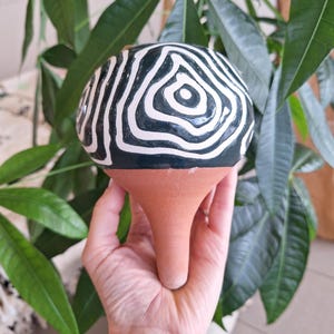 Può includere: Un vaso di ceramica con un motivo a onde concentriche bianco e nero sulla parte superiore e una base color terracotta. Il vaso è tenuto davanti a uno sfondo di foglie verdi.