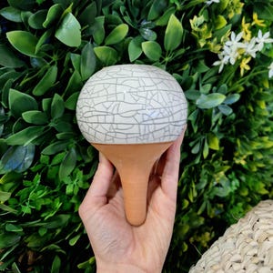 Può includere: Un globo per l'irrigazione delle piante in ceramica bianca con un motivo a crepe, tenuto contro uno sfondo di fogliame verde. Il globo poggia su una base color terracotta, progettata per essere inserita nel terreno per l'irrigazione lenta delle piante.