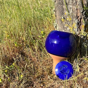 Op de afbeelding: Een blauwe keramische pot met een ronde bovenkant en een kleiner blauw deksel. De pot staat op een bed van groen gras.