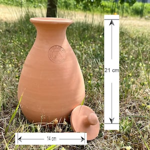 Olla Taille S 1.5L Système d'irrigation Économique Idéal pour Jardinières et Arbustes Poids 1.75 kg Dimensions 13 x 18 cm image 3