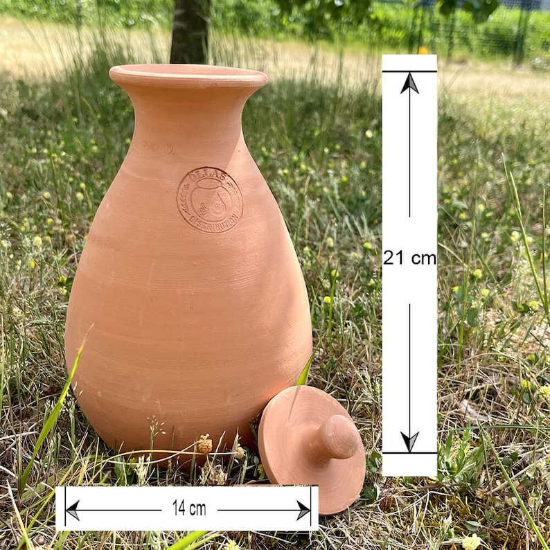 Olla Taille S 1.5L Système d'irrigation Économique Idéal pour Jardinières et Arbustes Poids 1.75 kg Dimensions 13 x 18 cm image 3