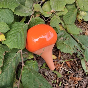 Può includere: Un ornamento da giardino a forma di fungo in ceramica arancione brillante, con un gambo marrone, appoggiato tra foglie verdi e ramoscelli. Il fungo ha una finitura lucida. Un elemento decorativo per esterni.