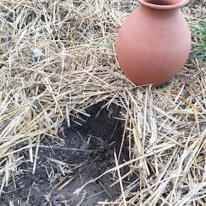 Olla terracotta maat L 4/5 L ecologische moestuinbewatering handgemaakt afbeelding 4