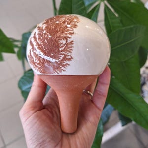 Può includere: Un globo per l'irrigazione delle piante in ceramica con una parte superiore bianca e arrotondata e un design marrone a forma di albero. La base è color terracotta. Il globo è alto circa 10 cm.